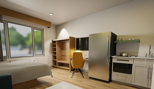 Standard Suite, 1 Queen Bed with Sofa bed, Non Smoking, Kitchen