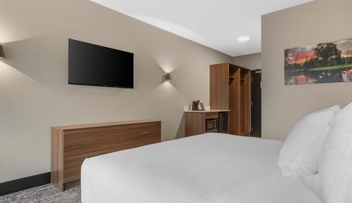 Standard Room, 1 King Bed, Non Smoking