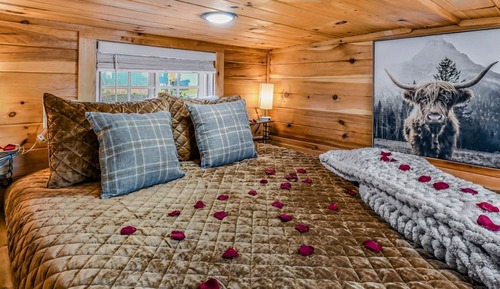 Comfort Cabin, Mountain View
