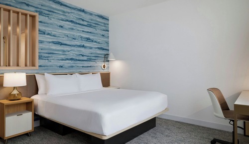 Studio, 1 King Bed with Sofa bed