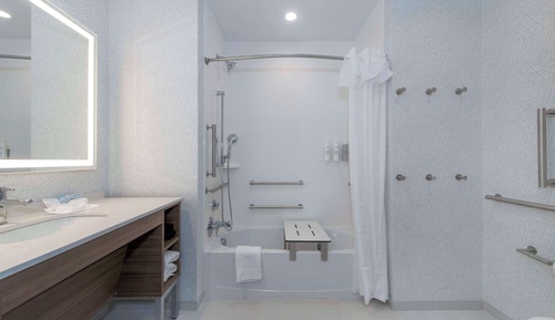 Suite, 1 King Bed, Bathtub