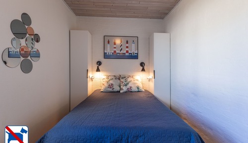 Apartment, Pets Not Allowed