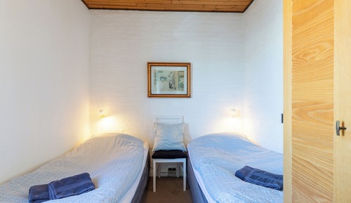 Apartment, Pets Allowed