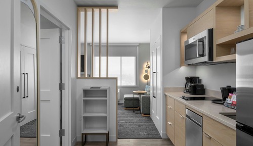 Studio, 1 King Bed with Sofa bed