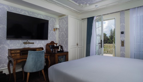 Executive Double or Twin Room, Terrace