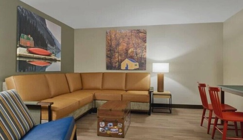 Premium Suite (Grizzly Bear)