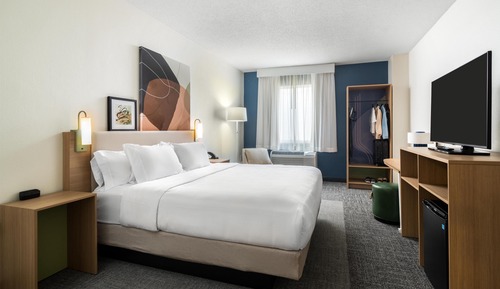 Room, 1 King Bed, Accessible (Mobility, Roll-In Shower)