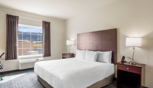 Room, 1 King Bed, Mobility Accessible, Non Smoking (Single, Guestroom)
