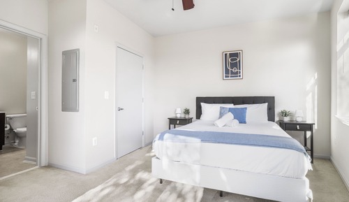Classic Apartment