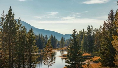 Standard Cabin (Alpine)