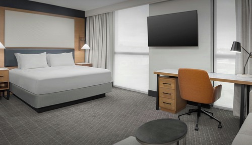 Studio, 1 King Bed with Sofa bed