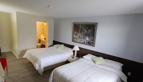 Standard Double Room, 2 Double Beds