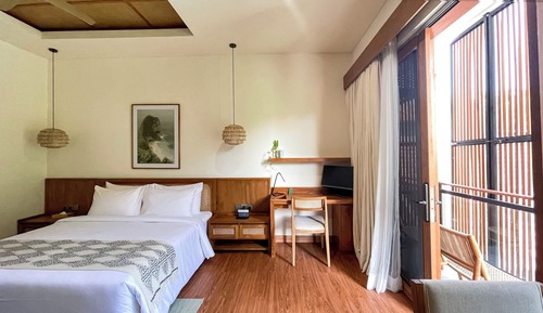 Studio, 1 King Bed