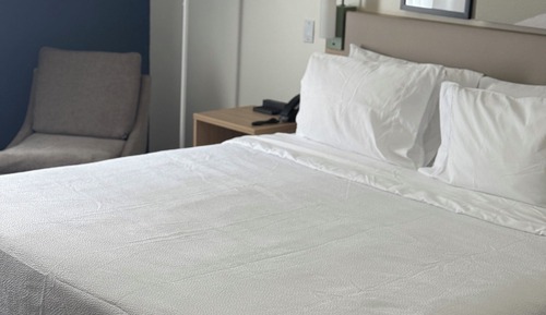 Deluxe Room, 1 King Bed (Mobility & Roll-in Shower)