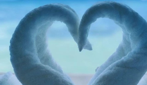 Superior Double or Twin Room, Ocean View