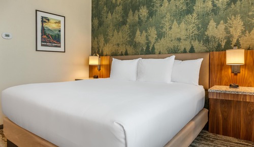 Room, 1 King Bed, Hearing Accessible (Upper Floor)