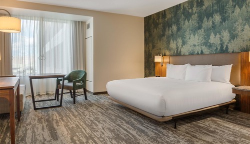 Room, 1 King Bed, Accessible Bathtub (Upper Floor, Tub)
