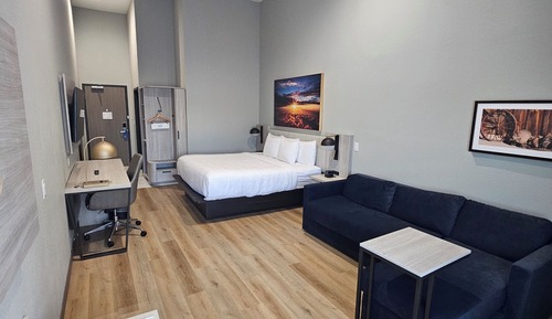 Suite, 1 King Bed with Sofa bed