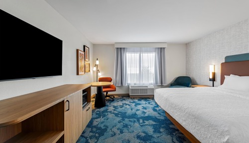 Room, 1 King Bed, Refrigerator