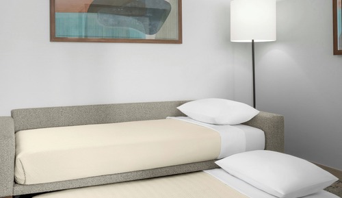 Studio Suite, Multiple Beds (Mobility Accessible, Roll-In Shower)