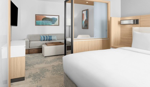 Studio Suite, 1 King Bed with Sofa bed