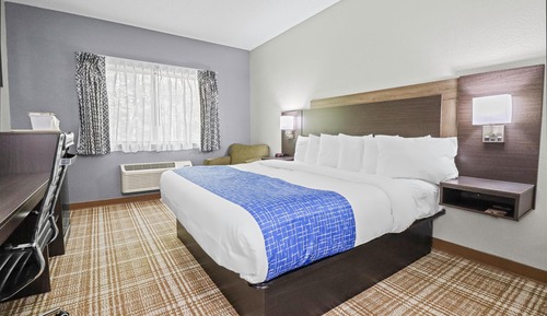 Room, 1 King Bed
