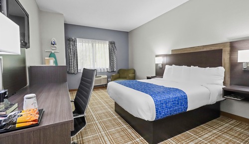 Room, 1 Queen Bed