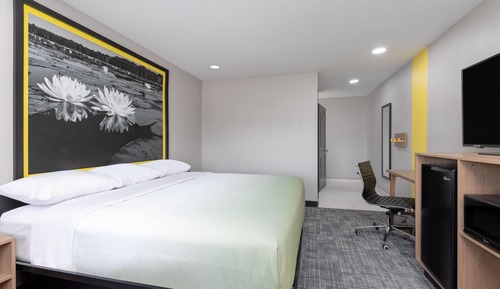 Room, 1 King Bed, Mobility Accessible, Non Smoking (Roll-in Shower)