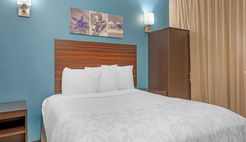 Premium Room, 1 Queen Bed, Accessible (Upgr Bed&Snack, Roll-In Shwr, Smk Fr)