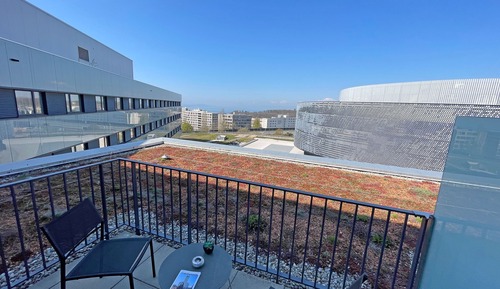 Superior Room, Terrace