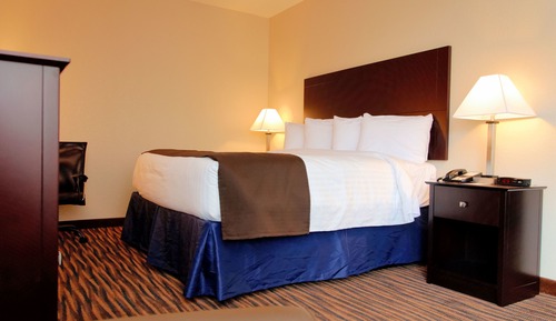 Room, 1 King Bed, Non Smoking