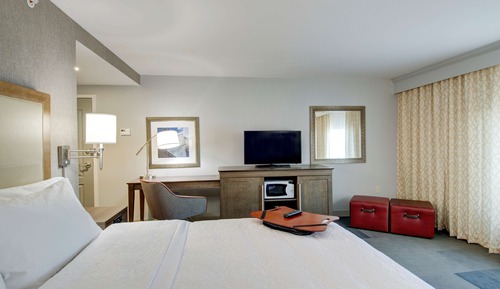 Room, 1 King Bed, Accessible, Non Smoking (Roll In Shower)