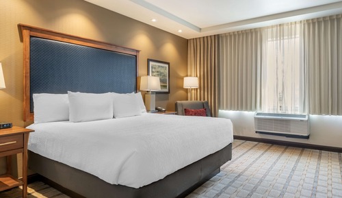Standard Room, 1 King Bed, Non Smoking, Refrigerator & Microwave
