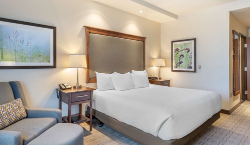 Standard Room, 1 King Bed, Accessible, Bathtub