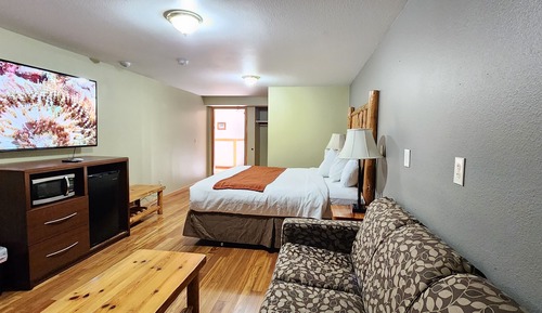 Junior Room, 1 King Bed with Sofa bed