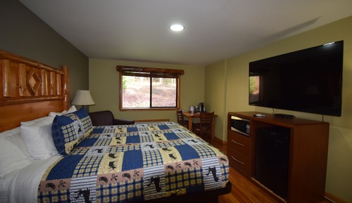 Junior Room, 1 King Bed with Sofa bed