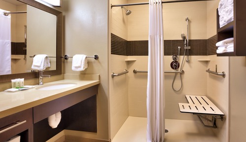 Suite, 1 Bedroom, Accessible, Kitchen (Mobility, Roll-In Shower)