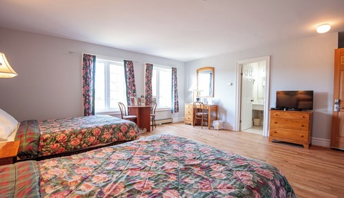 Standard Double Room, 2 Double Beds, Allergy Friendly, Tower