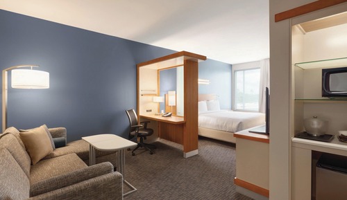 Suite, 1 King Bed with Sofa bed