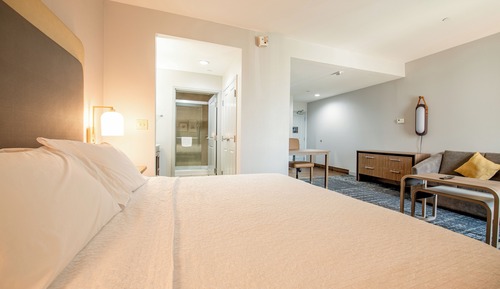 Premium Room, 1 King Bed, Accessible (Mobility & Hearing, Roll-in Shower)