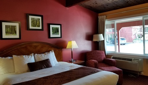 Standard Room, 1 King Bed, Refrigerator & Microwave