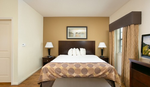 Studio Suite, Multiple Beds