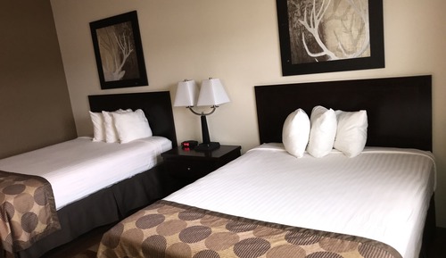 Studio Suite, 2 Queen Beds