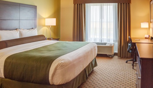 Room, 1 King Bed, Non Smoking