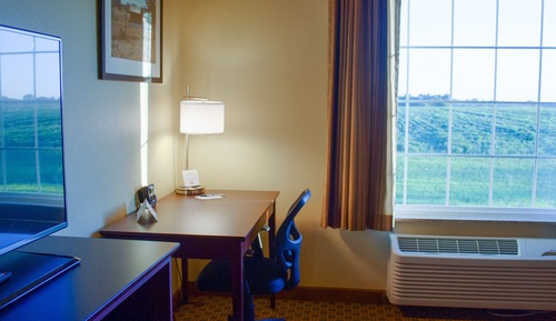 Suite, 1 King Bed with Sofa Bed, Accessible Roll in Shower, Non Smoking