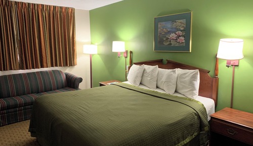 Standard Room, 1 King Bed, Non Smoking