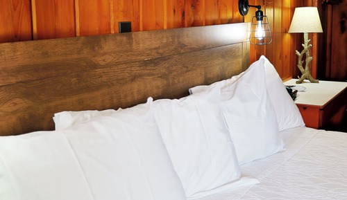 Economy Room, 1 King Bed