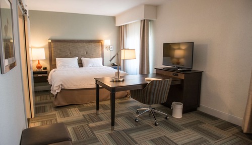 Room, 1 King Bed with Sofa bed