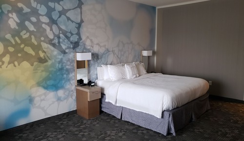 Room, 1 King Bed