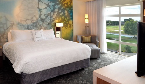 Room, 1 King Bed with Sofa bed